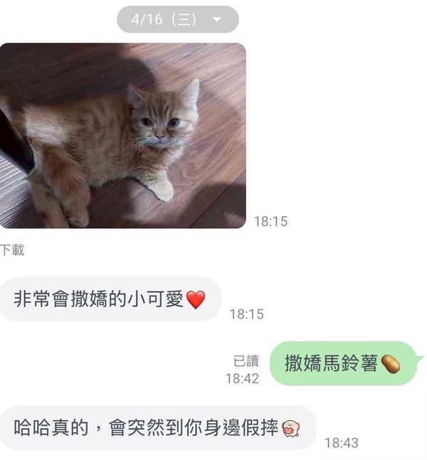 回家後近況