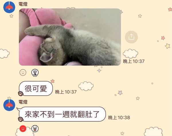 翻肚日記