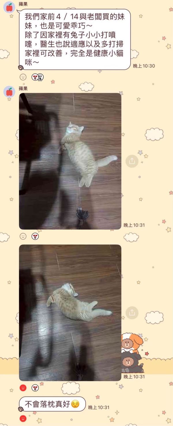 玩耍日常